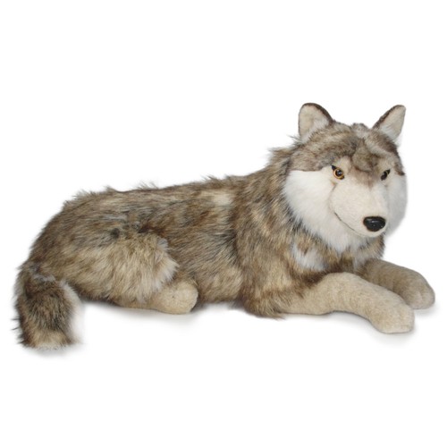 Wolf wolfshund hund - wolf,