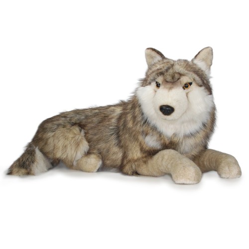 Wolf wolfshund hund - wolfshund,