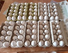 10, 100 bis 200 ausgeblasene Hühner Eier weiß, 1 Loch,  ausgespült