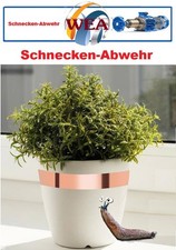 Schneckenfalle Schneckenabwehr