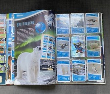 Ozeanien 2, 3 Und In 8 Wochen