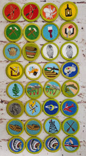 BSA Boy Scout Merit Badges