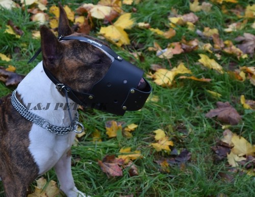 Stark leder hundemaulkorb für - stark,