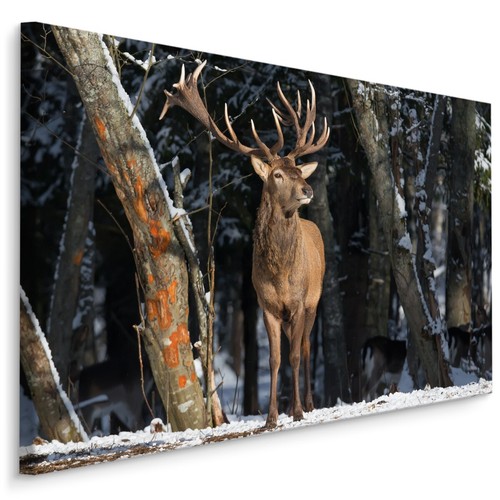 Canvas leinwand bilder - bilder, xxl