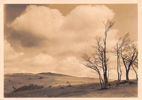 Wasserkuppe rhön panorama - wasserkuppe/rhön, ngl