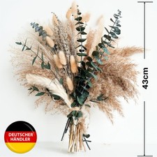 Pampasgras Getrocknet  Natürliche Trockenblumen Deko DIY Trockene Blüten Strauß
