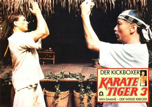 Karate tiger der - -, kickboxer