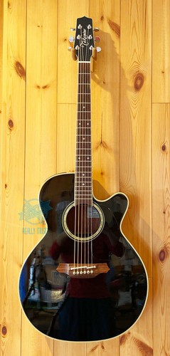 Takamine tdp512 - bl, (2006)