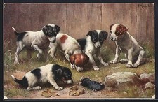 Ansichtskarte Junge Hunde mit totem Maulwurf 