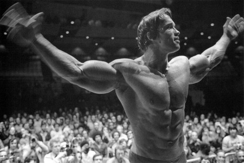 Arnold schwarzenegger - arnold,