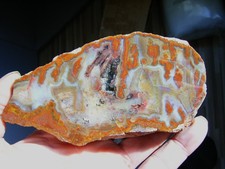 F051 Achat Anschliff ( Scheibe