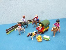 Ponykutsche Pferde Pony