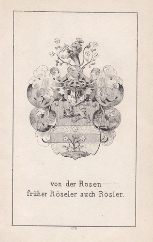 1840 rosen röseler - rosen,