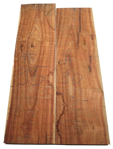 Palisander holz morado - 1x,