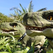 T-Rex Roboter / AIBO |