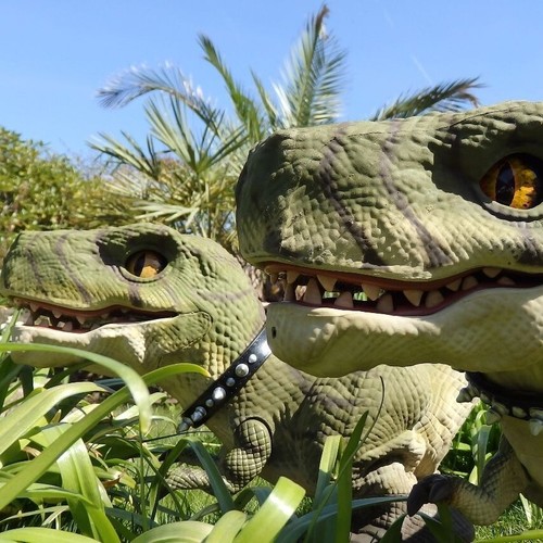 Rex roboter aibo - t-rex,
