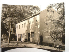 AK Bad Freienwalde Jugend