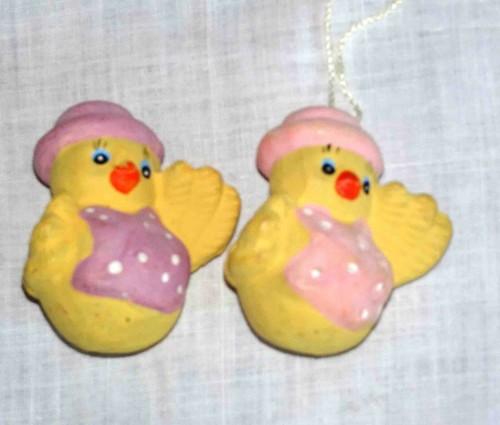 Zwei küken enten - enten,, hühnchen