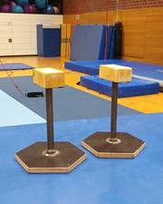 2 in 1 Professionelle