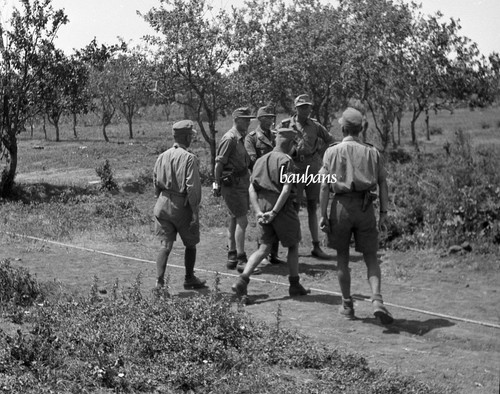 Original negativ negative - original, negativ/negative