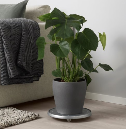 Ikea persillade übertopf - -,