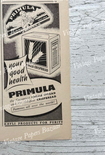 Primel käseaufstrich - primel,