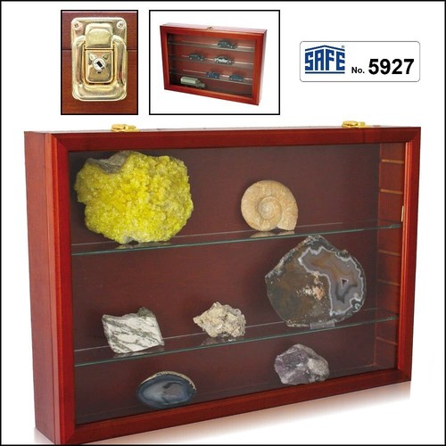 SAFE-5927-Holzvitrine-Fossilie