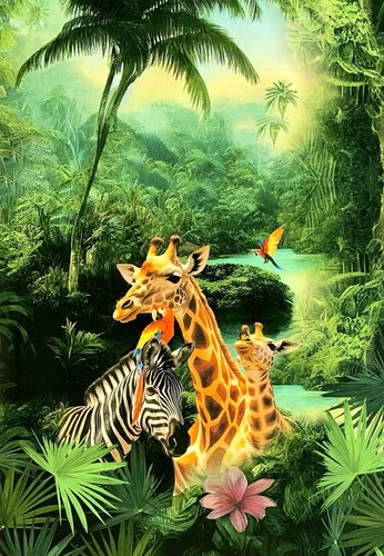 Stoff jersey panel zebra - stoff,