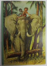 "Moko and Koko in the Jungle"