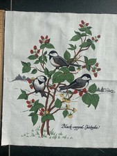 US Quiltstoff Baumwolle