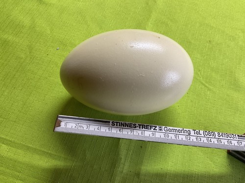Nandu eier deko ostern - deko,
