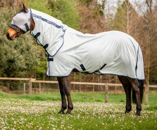 Horseware amigo mio - horseware,