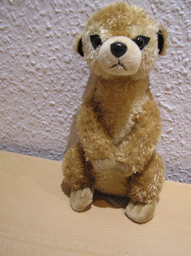 Plüschtier erdmännchen - plüschtier,