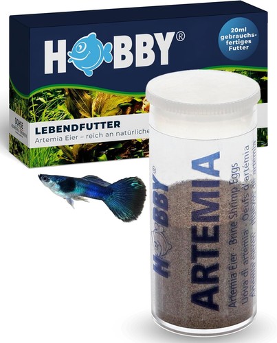 Aquaristik artemia eier 20 - artemia,