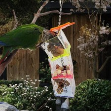 Papagei Futtersuche Spielzeug Acryl Käfig Zubehör für Conures Wellensittich