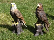 Adler Deko Figur Weißkopfadler Steinadler Fisch 40cm  wetterfest 3429 NEU