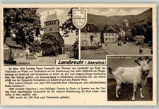 10689832 - 6734 Lambrecht Kirchplatz Historischer Geissbock Ziege