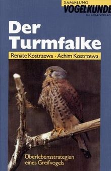 Der turmfalke - der,