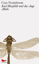 Karl Blossfeldt und das Auge