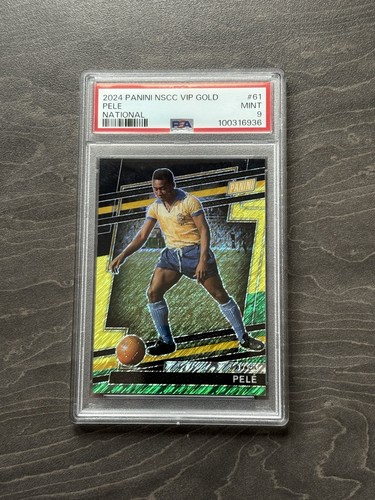 2024 panini national - panini,