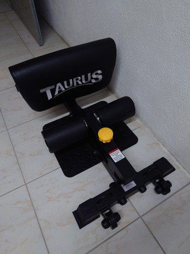 Taurus sissy squat - , trainer