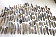 Schwemmholz Treibholz  100