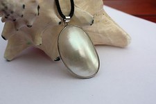 P58  Muschel Perlmutt Perlen