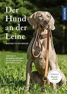 Der hund leine - an,