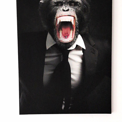 Wandbild affe anzug - affe, im
