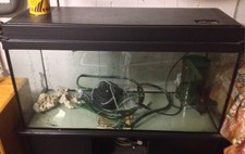 aquarium komplett mit unterschrank und pumpe + div. Zubehör gebraucht