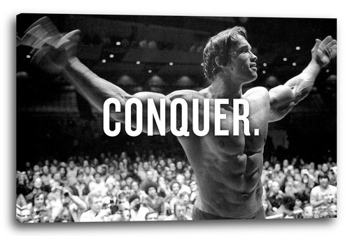 Wandbild arnold schwarzenegger - arnold,