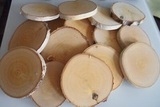 15 x Holzscheiben Astscheiben
