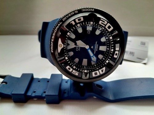 Citizen promaster professional - citizen,