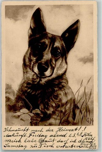 39159358 schaeferhund - -,